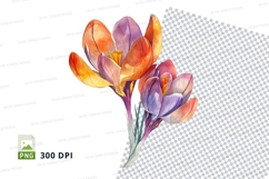 Vibrant crocus flowers Product Image 1