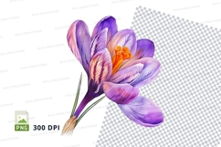 Purple crocus flower clipart png Product Image 1