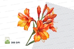 Vibrant orange lilies clipart png Product Image 1