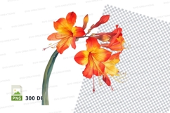 Vibrant orange and yellow flowers Product Image 1