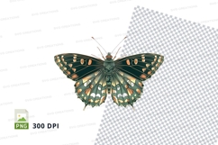 Green butterfly clipart png Product Image 1