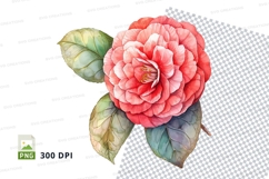 Vibrant pink camellia flower clipart png Product Image 1