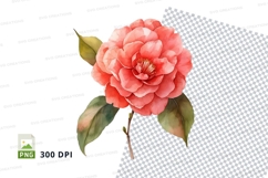 Pink camellia flower clipart png Product Image 1