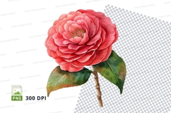 Pink camellia flower clipart png Product Image 1