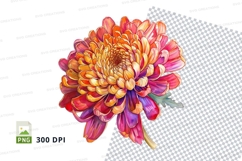 Vibrant chrysanthemum clipart png Product Image 1