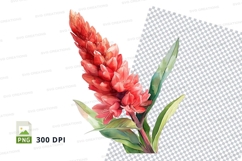 Vibrant red flower clipart png Product Image 1