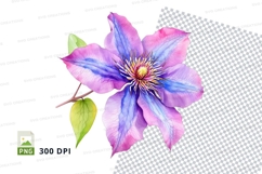 Beautiful clematis flower clipart png Product Image 1