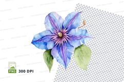 Blue clematis flower clipart png Product Image 1