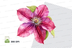 Pink clematis flower clipart png Product Image 1