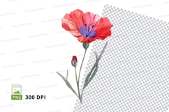 Watercolor poppy flower Product Image 1