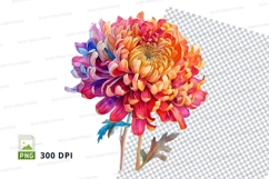 Vibrant chrysanthemum clipart png Product Image 1