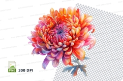 Vibrant chrysanthemum clipart png Product Image 1
