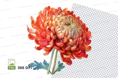 Vibrant chrysanthemum clipart png Product Image 1