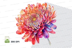 Vibrant chrysanthemum clipart png Product Image 1