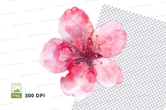 Pink cherry blossom flower clipart png Product Image 1