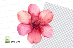 Pink cherry blossom flower clipart png Product Image 1
