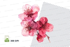 Delicate pink cherry blossoms Product Image 1