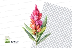 Vibrant pink flower clipart png Product Image 1