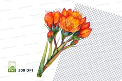 Vibrant orange flowers clipart png Product Image 1