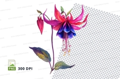 Vibrant fuchsia flower clipart png Product Image 1