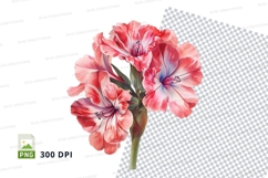 Vibrant geranium flowers clipart png Product Image 1