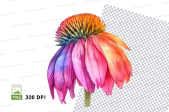 Colorful coneflower clipart png Product Image 1