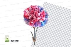 Vibrant multicolored carnation clipart png Product Image 1