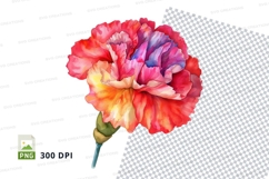 Vibrant carnation clipart png Product Image 1