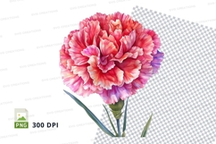 Pink and white carnation clipart png Product Image 1