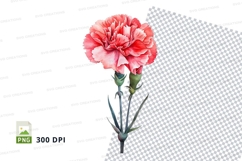 Pink carnation clipart png Product Image 1