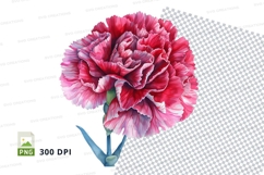 Pink carnation clipart png Product Image 1