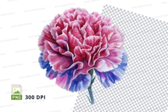 Vibrant carnations clipart png Product Image 1