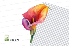 Vibrant calla lily clipart png Product Image 1
