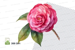 Pink camellia flower clipart png Product Image 1
