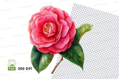 Beautiful pink camellia flower clipart png Product Image 1