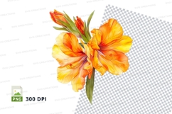 Vibrant orange and yellow flowers clipart png Product Image 1