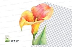 Vibrant orange calla lily Product Image 1