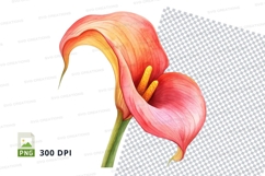 Pink calla lily clipart png Product Image 1