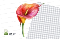 Vibrant calla lily clipart png Product Image 1