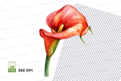 Vibrant red calla lily clipart png Product Image 1