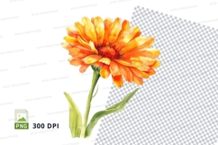 Bright orange flower clipart png Product Image 1