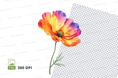 Colorful poppy flower clipart png Product Image 1