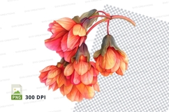 Vibrant orange and pink flowers clipart png Product Image 1