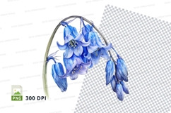 Bluebell cluster clipart png Product Image 1