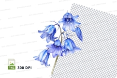 Bluebell flowers clipart png Product Image 1