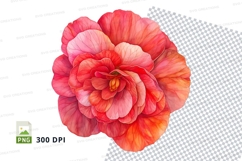 Vibrant pink and orange flower Product Image 1