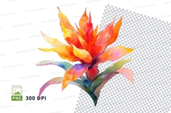 Vibrant tropical flower clipart png Product Image 1