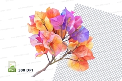 Colorful bougainvillea flowers Product Image 1