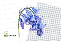 Bluebell flowers clipart png Product Image 1