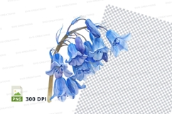 Bluebell flowers clipart png Product Image 1